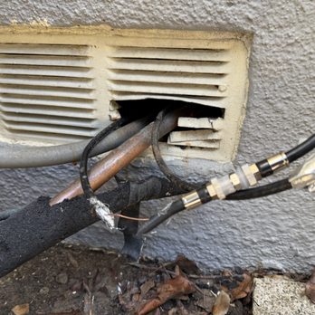 Got Rats Rodent Proofing - Entry point... - Pest Control Near Me - Walnut Creek, California Got Rats Rodent Proofing - Entry point... - Pest Control Near Me - Walnut Creek, California