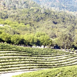From the picnic area via Golf Cart