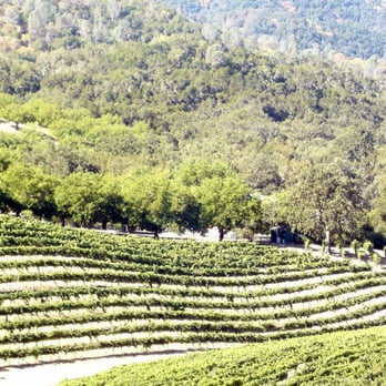 The Inn at Opolo - From the picnic area via Golf Cart - Bed & Breakfast Near Me - Paso Robles, California