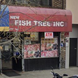 New Fish Fish Market