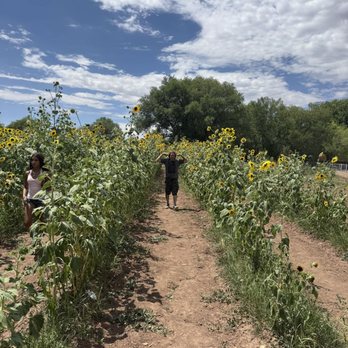 Big Jim Farms - Farms Near Me - Albuquerque, New Mexico