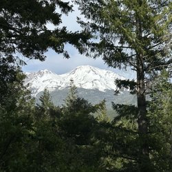 Mount Shasta - Mt Shasta
