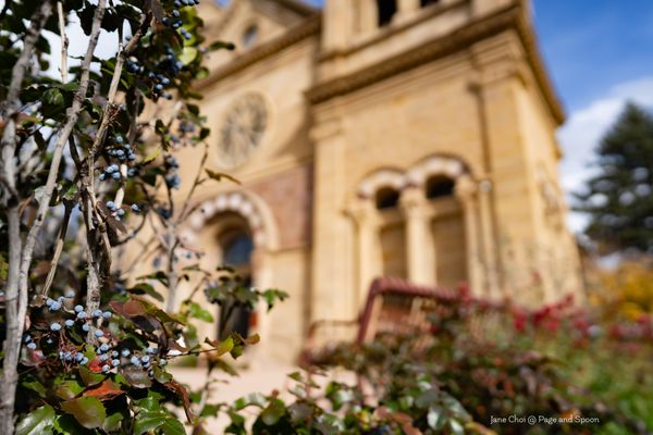 The Cathedral Basilica of St. Francis of Assisi by null