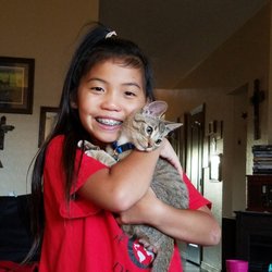 Furry Friends Animal Rescue - Here's the kitten that we adopted elsewhere after Furry Friends DECLINED OUR APPLICATION!