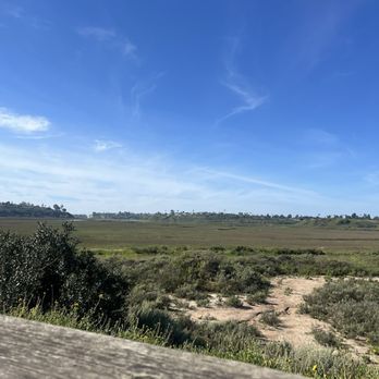Back Bay Loop Trail - Parks Near Me - Newport Beach, California