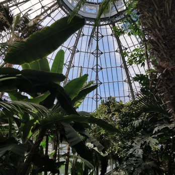 Allan Gardens - ceiling, main room - Parks Near Me - Toronto, Ontario Allan Gardens - ceiling, main room - Parks Near Me - Toronto, Ontario
