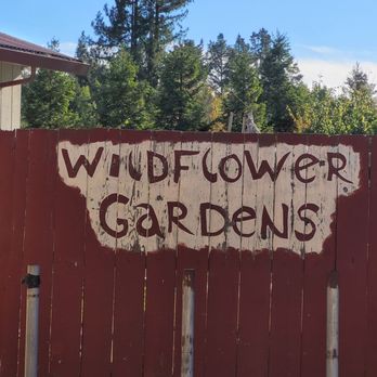 Wild Flour Bread - Beautiful gardens to wander through while enjoying your treat! - Bakeries Near Me - Freestone, California