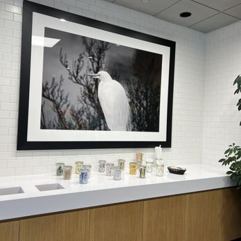 Bishop Farms - Snowy egret - Coffee & Tea Near Me - San Ramon, California