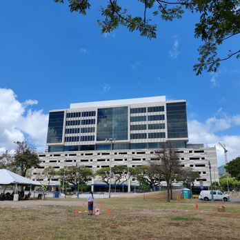 Aala Park - View of American Savings Bank from A'ala Park - Dog Parks Near Me - Honolulu, Hawaii Aala Park - View of American Savings Bank from A'ala Park - Dog Parks Near Me - Honolulu, Hawaii