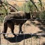 Photo of Rocky Mountain Wildlife Park