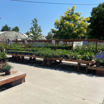 Echter's Nursery & Garden Center - Outside garden - Nurseries & Gardening Near Me - Arvada, Colorado
