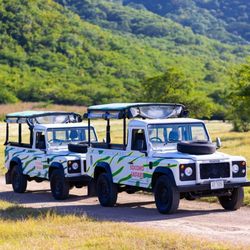 Peace of Paradise Travel Agency - Excursion