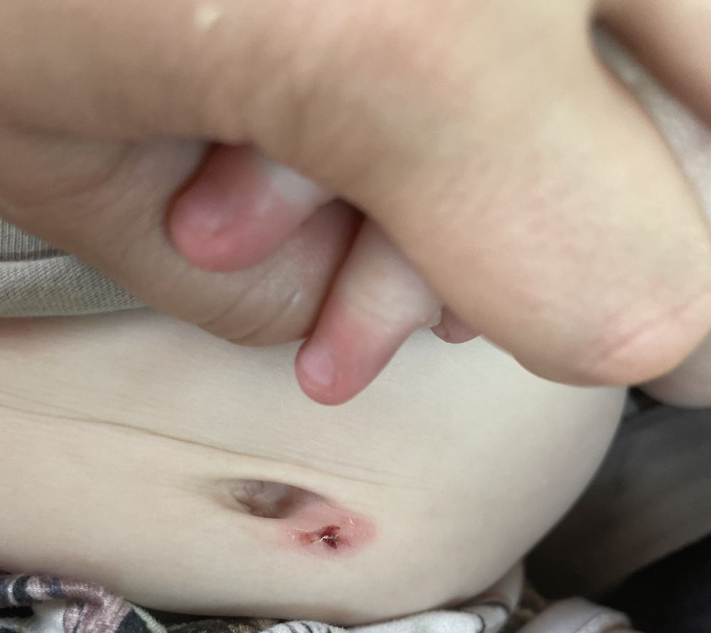 The Jupiter School - Preschool Downtown Orlando - childcare center in Orlando, FL