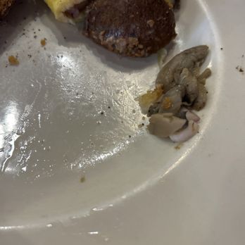 Pistachio Cafe - Stale and expired mushrooms Straight out of can - Coffee & Tea Near Me - New Haven, Connecticut Pistachio Cafe - Stale and expired mushrooms Straight out of can - Coffee & Tea Near Me - New Haven, Connecticut