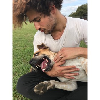 Austin Humane Society - Animal Shelters Near Me - Austin, Texas