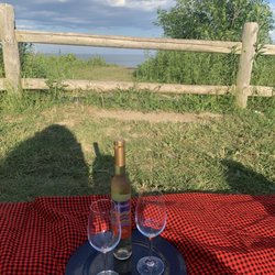 Petticoat Creek Conservation Area - Picnic