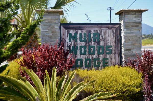 Muir Woods Lodge by null