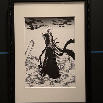 de Young Museum - Bleach - Art of Manga exhibit - Art Museums Near Me - San Francisco, California