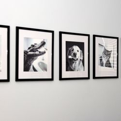 Yelena Gutman, DDS - Art in reception