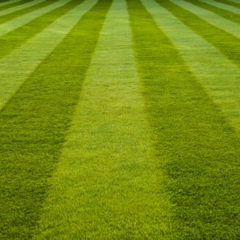 Creation Landscaping and Lawn Care - Mowing, Fertilization, Weed control. - Landscaping Near Me - Lancaster, Pennsylvania Creation Landscaping and Lawn Care - Mowing, Fertilization, Weed control. - Landscaping Near Me - Lancaster, Pennsylvania