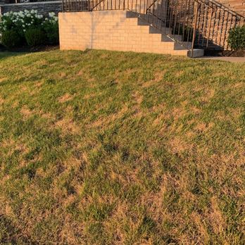 TruGreen Lawn Care - a lawn that has been mowed - Lawn Services Near Me - Nashville, Tennessee TruGreen Lawn Care - a lawn that has been mowed - Lawn Services Near Me - Nashville, Tennessee