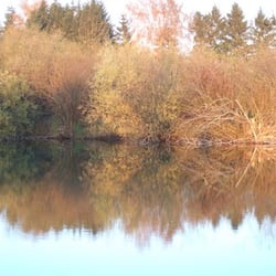 Allinger Weiher - allinger weiher: romantik pur
