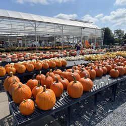 Stauffers Of Kissel Hill Home & Garden