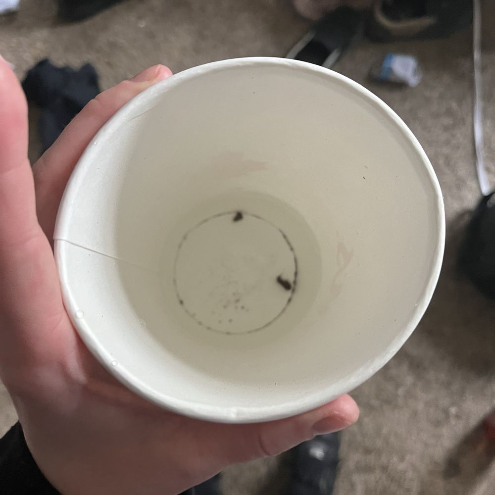 Tim Hortons - Oreos in my ice water. - Bakeries Near Me - North Boston, New York Tim Hortons - Oreos in my ice water. - Bakeries Near Me - North Boston, New York