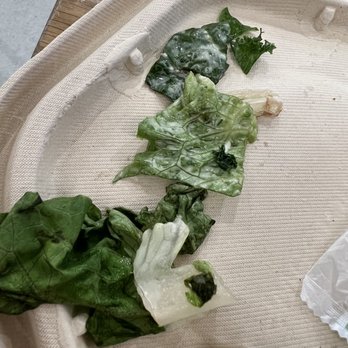sweetgreen - Healthy Salads, Wraps, and Bowls - Kale Cesar Salad - Salad Near Me - New York, New York sweetgreen - Healthy Salads, Wraps, and Bowls - Kale Cesar Salad - Salad Near Me - New York, New York