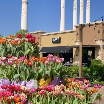 Trader Joe's - TJ sells flowers :) - Grocery Near Me - San Antonio, Texas Trader Joe's - TJ sells flowers :) - Grocery Near Me - San Antonio, Texas
