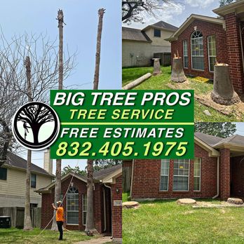 BTP Tree Service - Tree Services Near Me BTP Tree Service - Tree Services Near Me