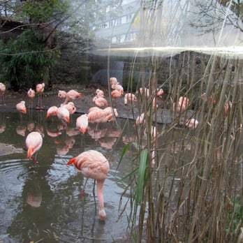 Edinburgh Zoo - Zoos Near Me - Edinburgh, EDH
