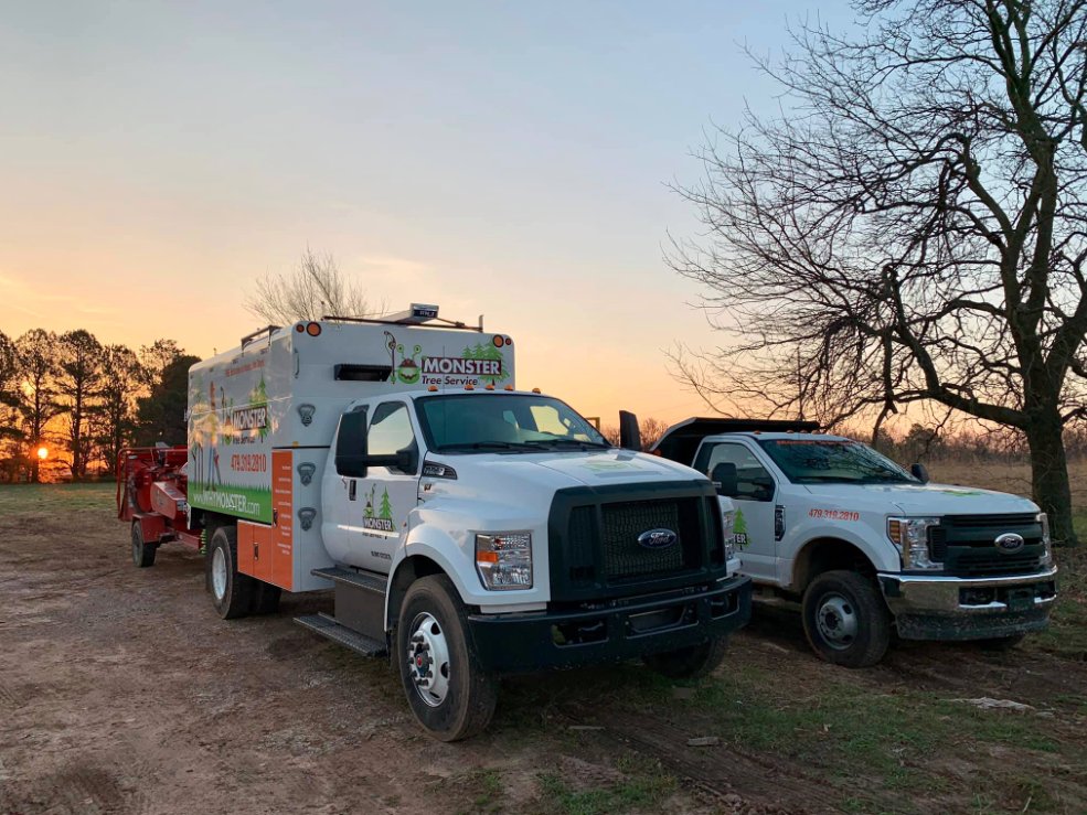 Monster Tree Service of Northwest Arkansas - tree service in Springdale, AR