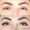Flawless Lashes gift card