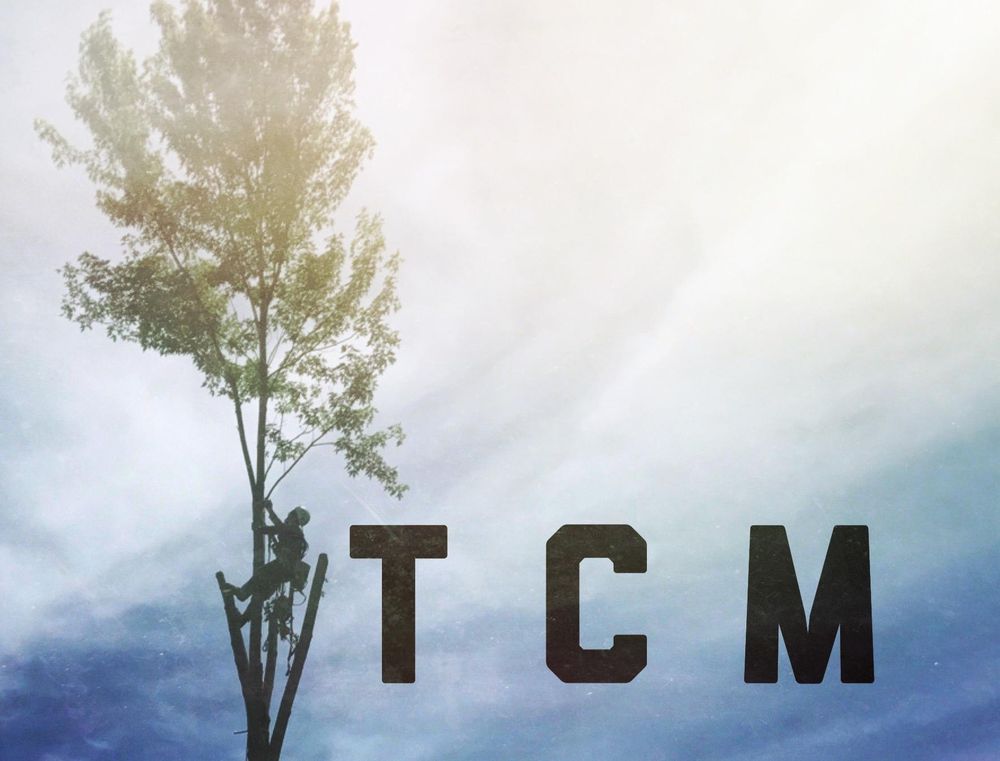 The Canopy Man - tree service in Springfield, MO