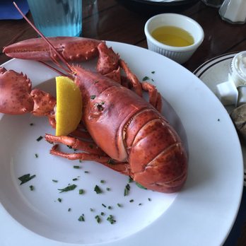 Hobbs Harborside - Single lobster ($25.99) - Seafood Near Me - Wells, Maine