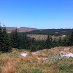 gisburn forest