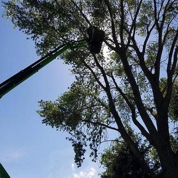 Lumber Jack - Tree Services Near Me - Nebraska City, Nebraska Lumber Jack - Tree Services Near Me - Nebraska City, Nebraska