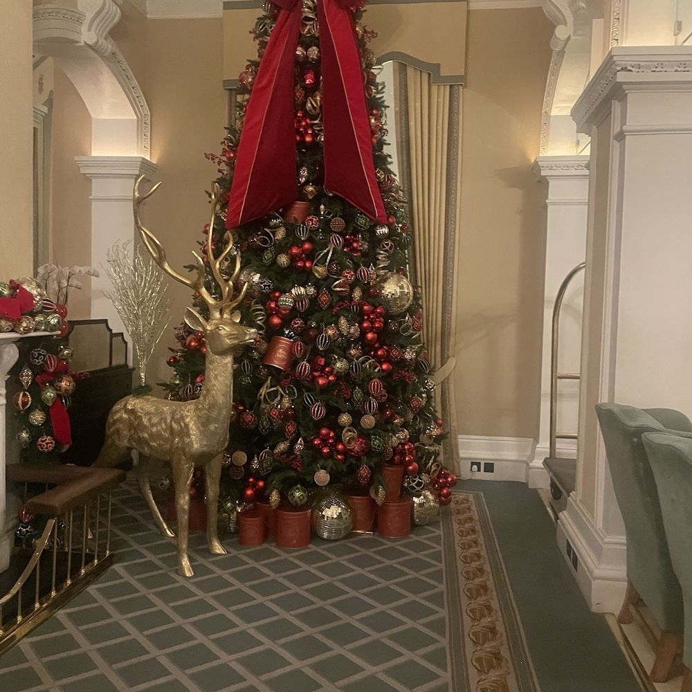 The Shelbourne, Autograph Collection - Christmas tree - Hotels Near Me - Dublin, D