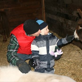 Alouette Tree Farm - Christmas Trees Near Me - Maple Ridge, British Columbia
