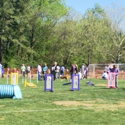 Brookhaven Cherry Blossom Festival - Dog Show