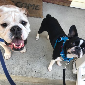 Lucky Lucy's Pets - Lucky Lucy's Pets - Dog Walkers Near Me Lucky Lucy's Pets - Lucky Lucy's Pets - Dog Walkers Near Me