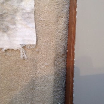 Stanley Steemer - Carpet that could not be cleaned regularly due to large wall unit. Stanley did not get it clean. However, I could. - Carpet Cleaning Near Me - Bolingbrook, Illinois Stanley Steemer - Carpet that could not be cleaned regularly due to large wall unit. Stanley did not get it clean. However, I could. - Carpet Cleaning Near Me - Bolingbrook, Illinois