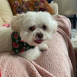 Luna, so fresh & so clean Luna, so fresh & so clean