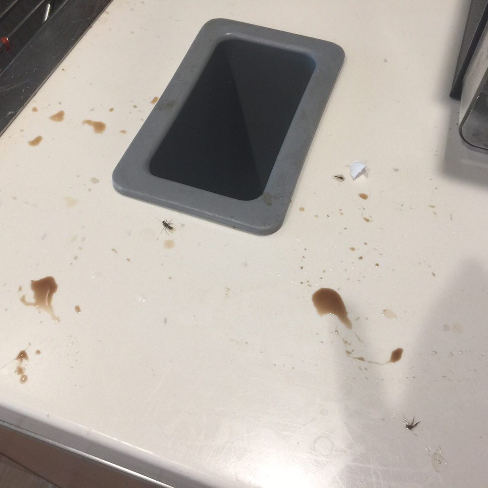 McDonald's - a dirty sink and a dirty counter - Fast Food Near Me - Leesburg, Florida McDonald's - a dirty sink and a dirty counter - Fast Food Near Me - Leesburg, Florida