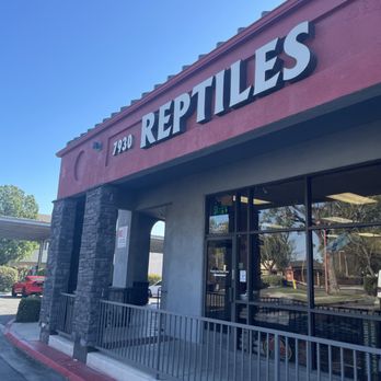 Reptile Island - Storefront - Pet Stores Near Me - Rancho Cucamonga, California