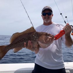 Reel Fish N Sea Charters - Grouper