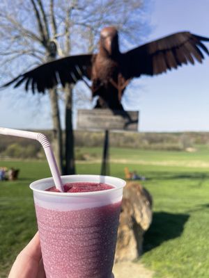 Hawk Ridge Winery by null