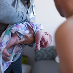 The Bridge Birth and Family Services