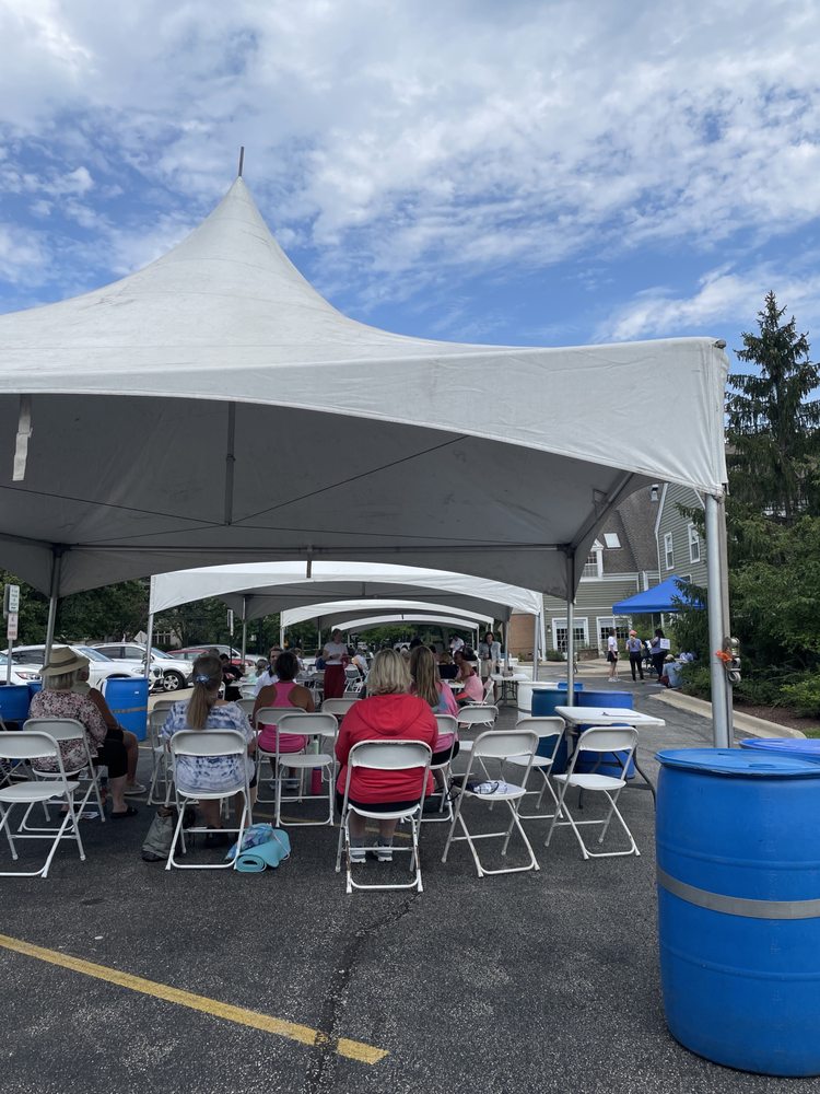 Wellness House - grief counselor in Hinsdale, IL